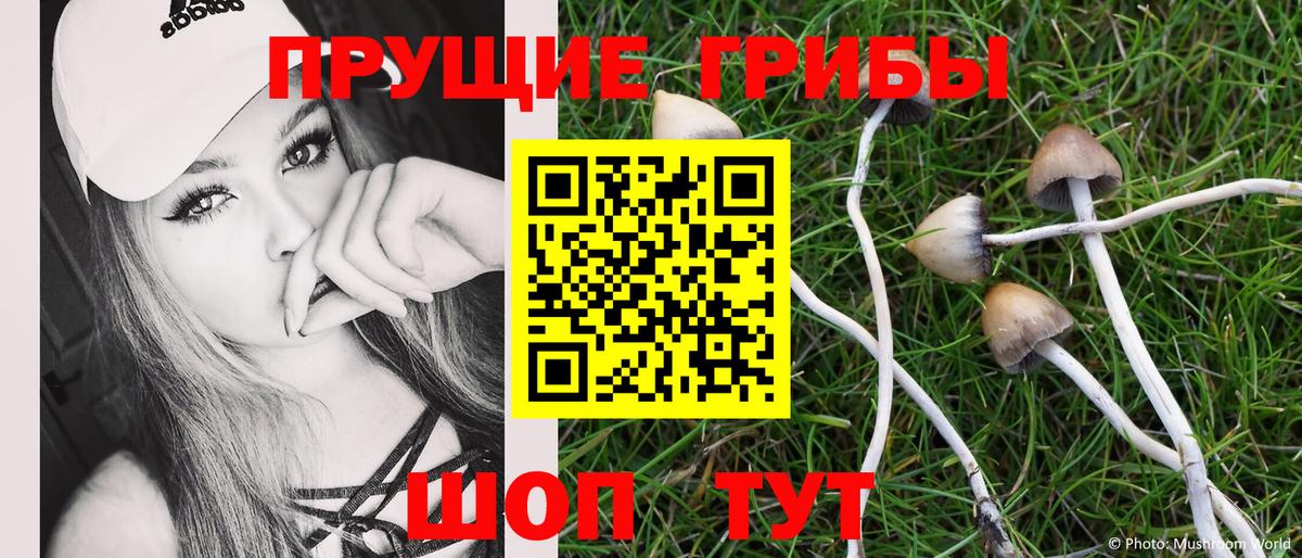 что такое   Вход с VPN  Батайск  Галлюциногенные грибы GOLDEN TEACHER 